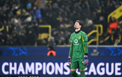 德甲激战：多特蒙德的坚持与拜仁的精准，科贝尔直言痛苦与希望并存